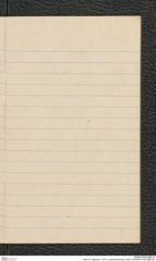 Seite 13, Tagebuch "1919 | Lang-Mannersdorf | Heft 2" (NHMW-PRAE-BBB-08)